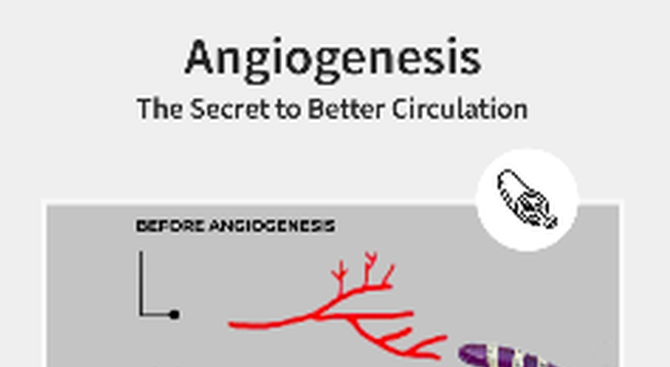 Diagram comparing blood vessels before and after angiogenesis